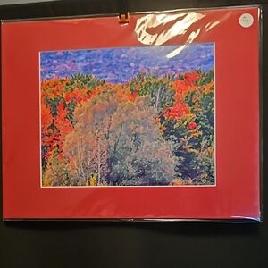 Quebec Fall Colors High Quality Photograph